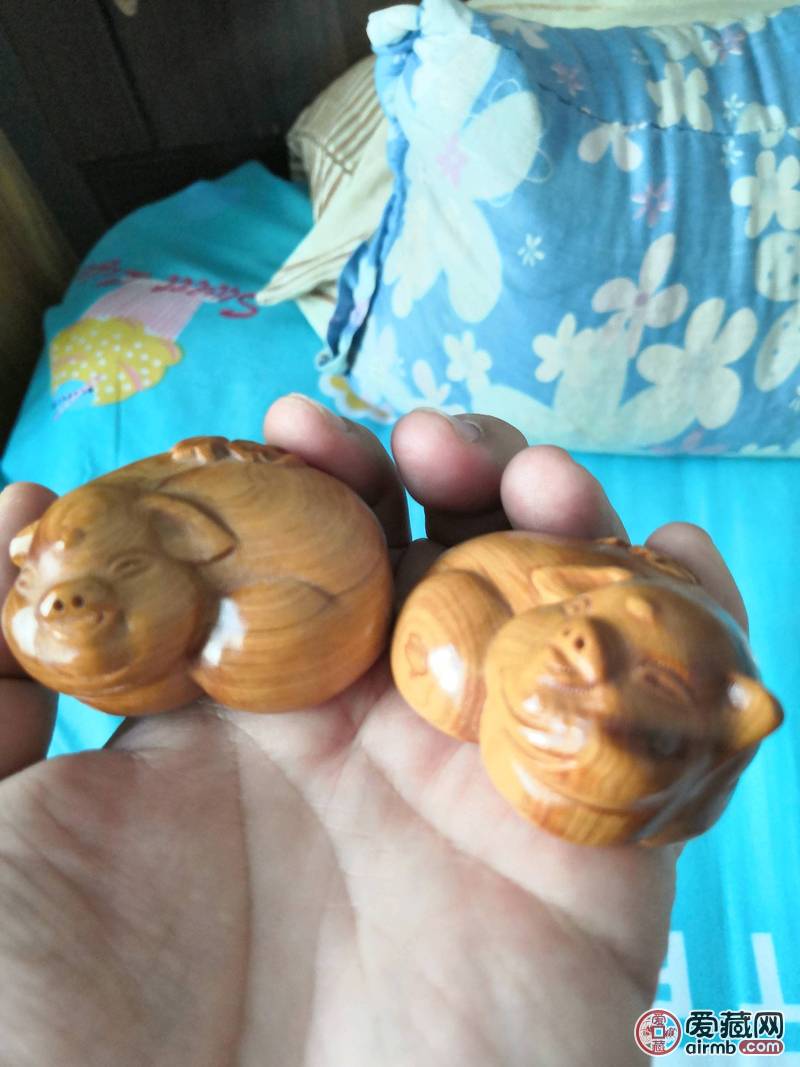 崖柏福猪一对<br />太行山