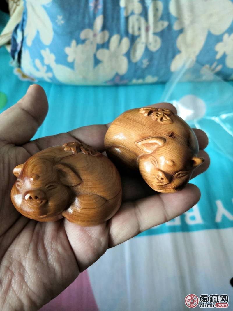 崖柏福猪一对<br />太行山