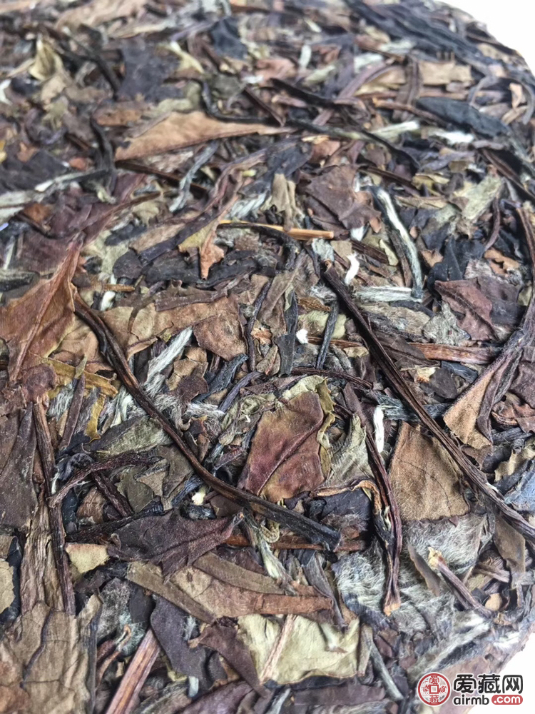 福鼎白茶