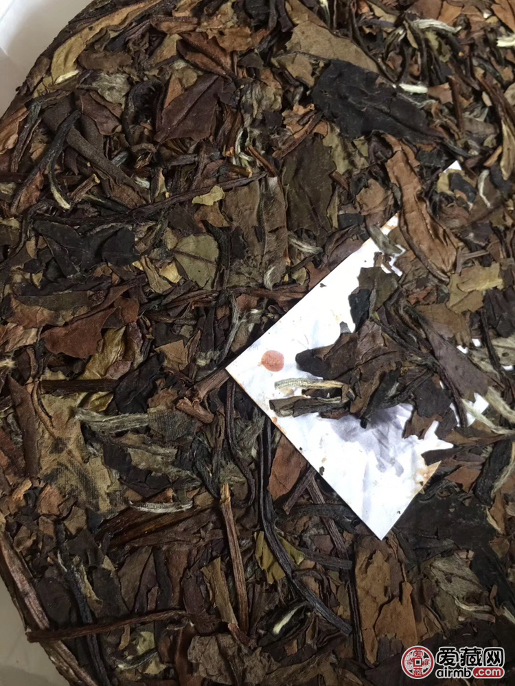 福鼎白茶