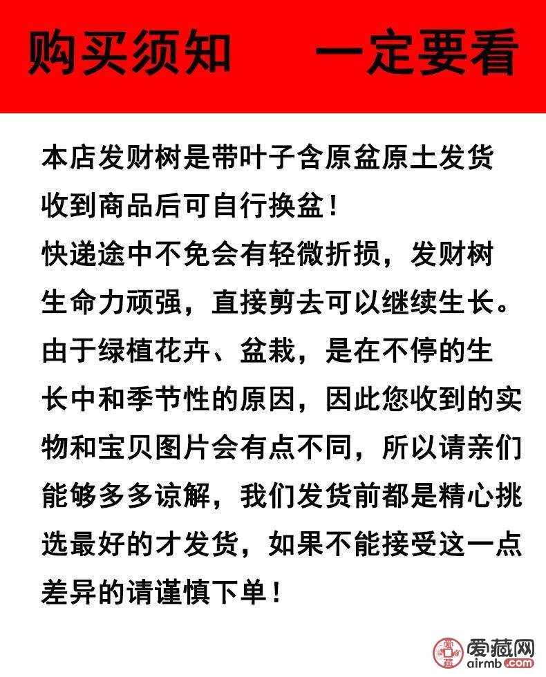 发财树盆栽*发财树寓意能招财进