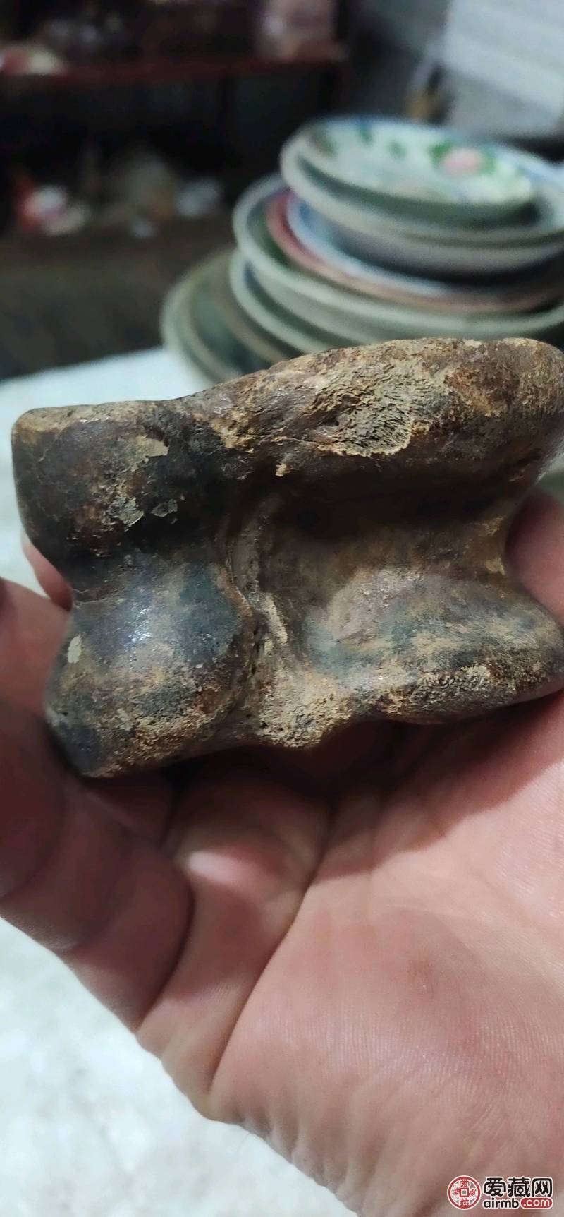 晚清不知什么骨