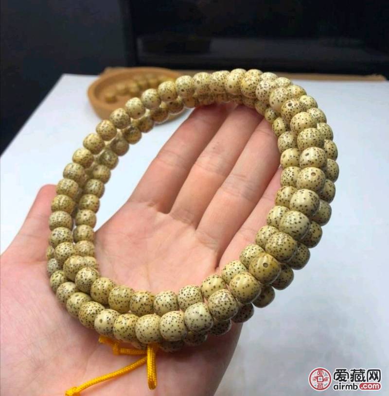 原生态星月菩提产地海南毛感成熟