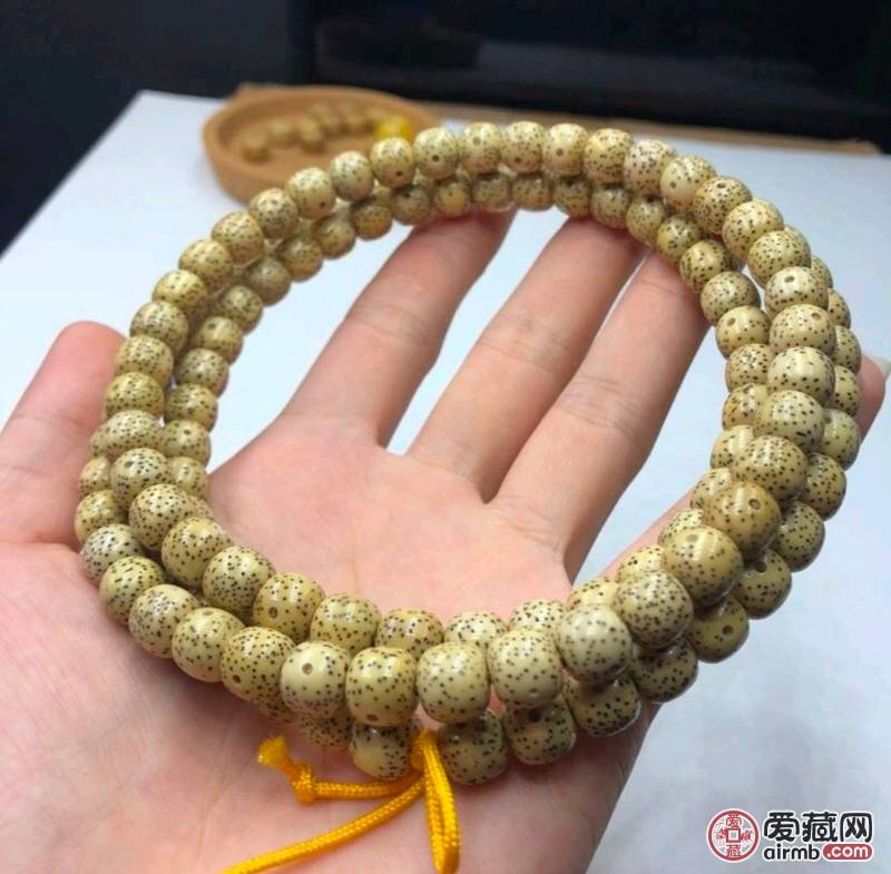 原生态星月菩提产地海南毛感成熟