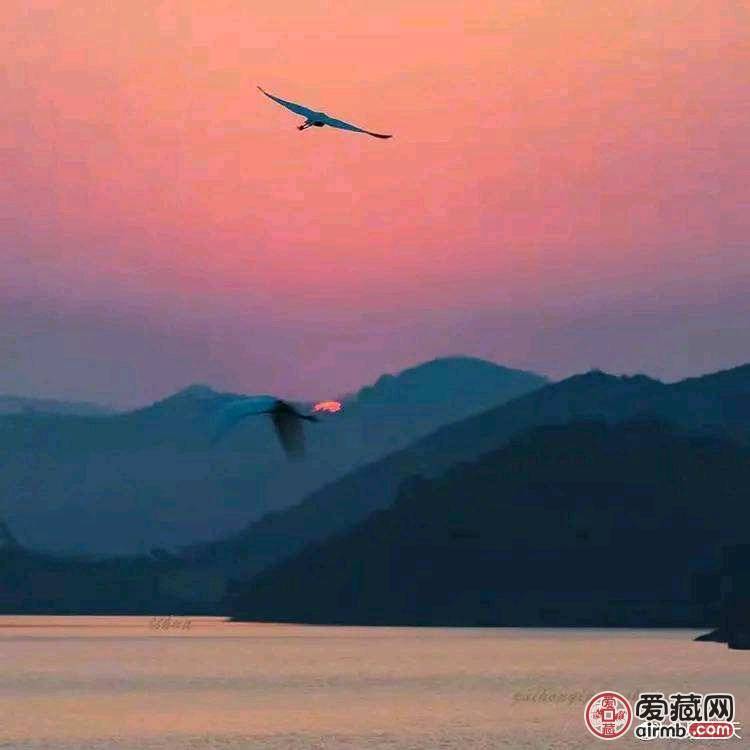 补差价专用，补多少元拍多少件