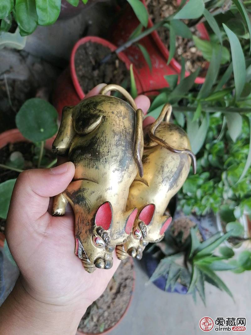 吐宝鼠一对