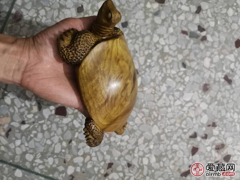 金丝楠木金钱龟富甲一方小叶桢楠