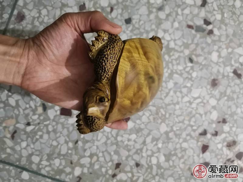 金丝楠木金钱龟富甲一方小叶桢楠