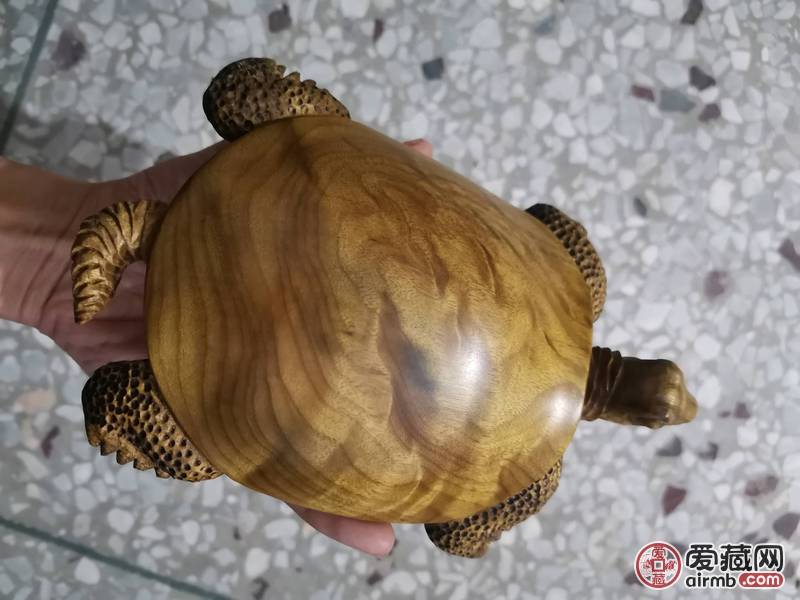 金丝楠木金钱龟富甲一方小叶桢楠