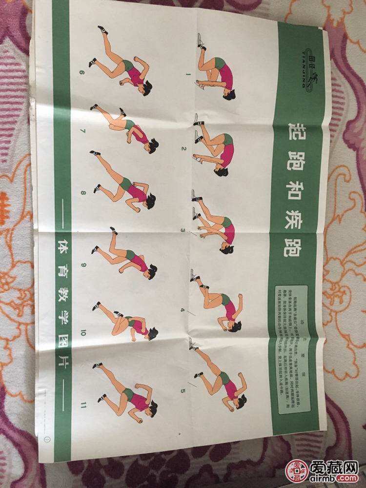 体育教学图片起跑