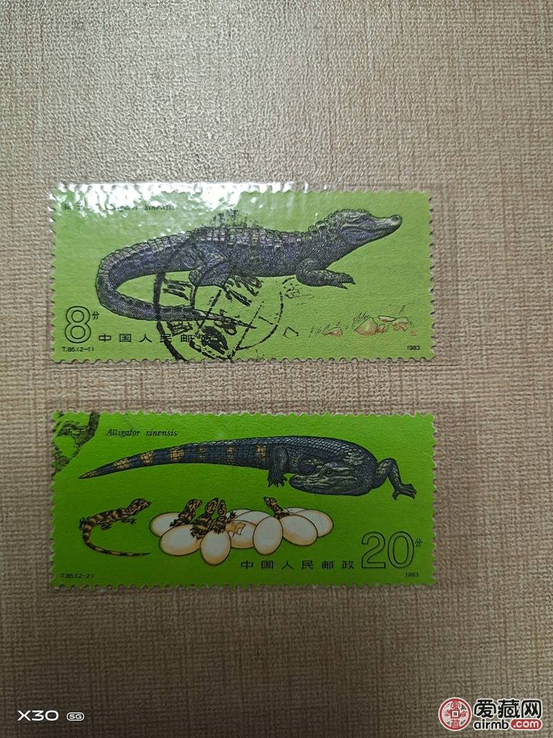 扬子鳄一套两枚，信销上品。
