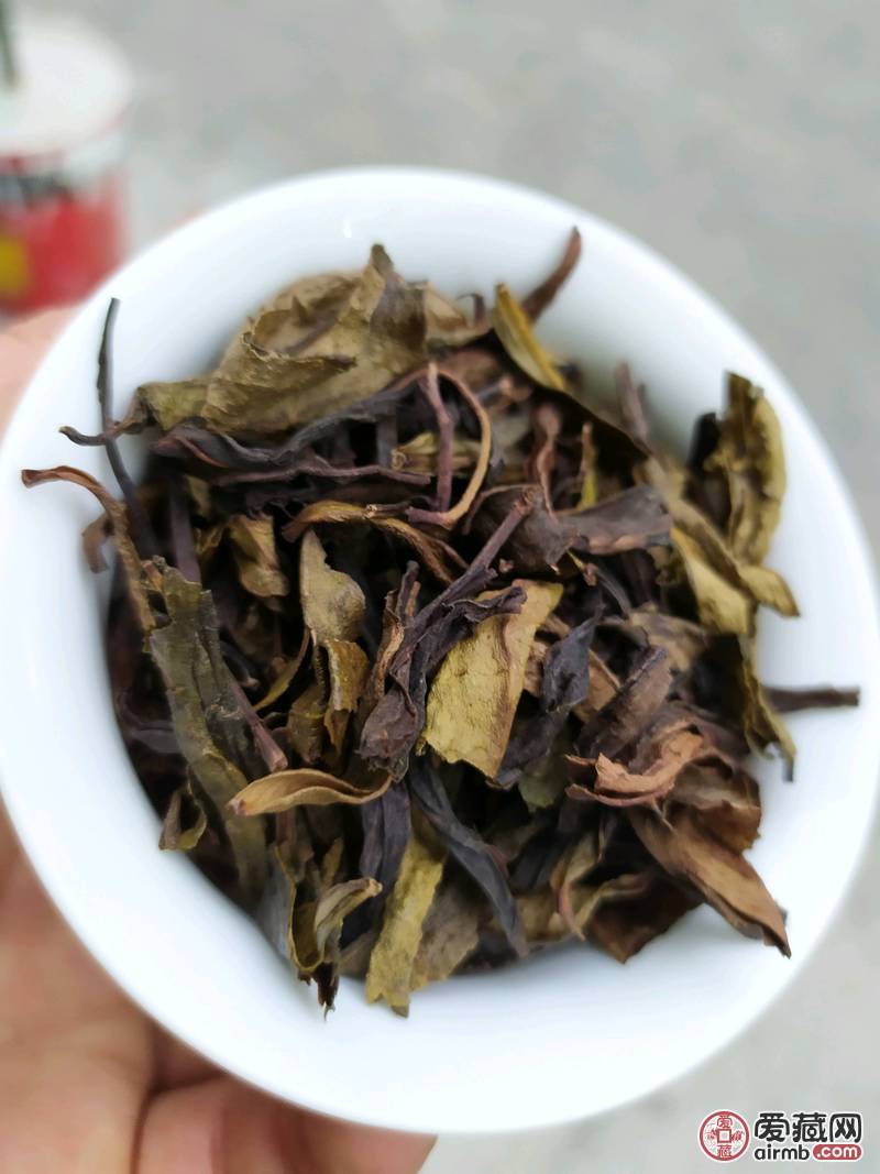 鸭屎香茶头潮州凤凰单枞茶浓香单