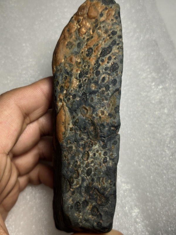 疑似陨石
碳质球粒陨石中弱磁
重310克
尺