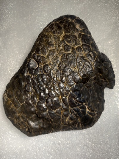 龟裂纹石陨石n微磁n重721克n龟裂纹陨石是
