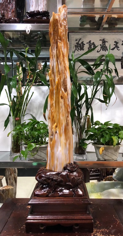 缅甸树化玉编号：34-6-19\n连底座总高83净