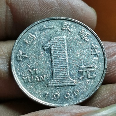1999年大菊花1元雪花币圆边币一枚稀少年份如图