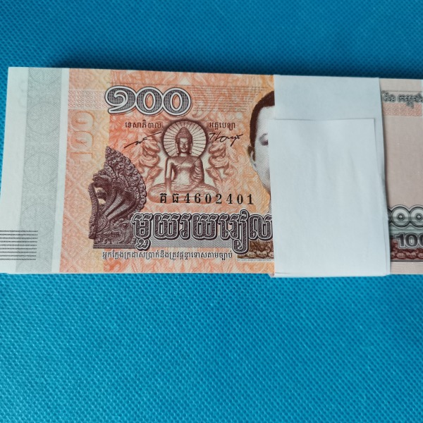 柬埔寨100瑞尔外币1刀捆拆绝品紫光灯下非