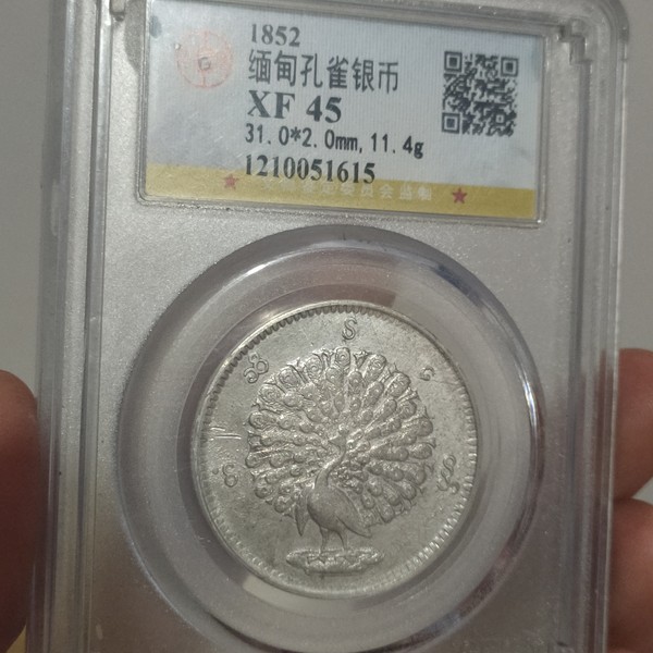缅甸孔雀银币一枚公博评级,45,保真包老