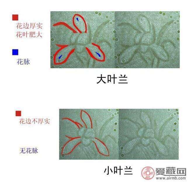 so首冠:大叶兰3张:绝品未来