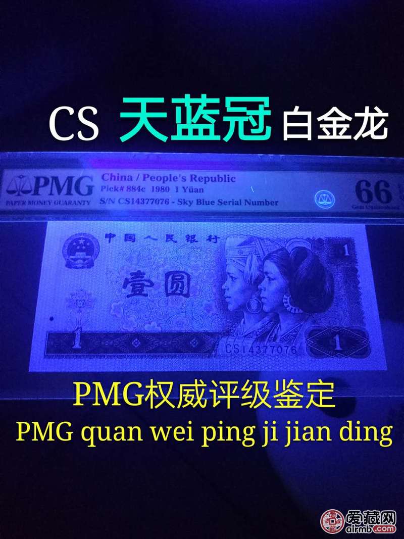 801天蓝冠cs白金龙n绝品稀少荧光天蓝冠