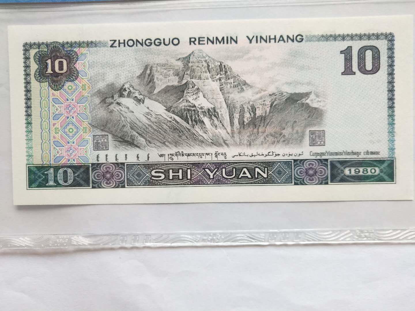 8010-浴火凤凰,冠号lz