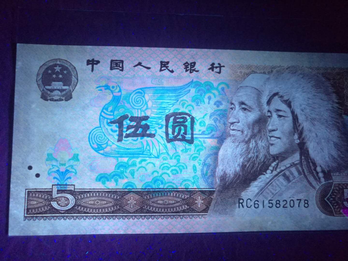 805最精典荧光币,大涨品种五彩苍松076一078