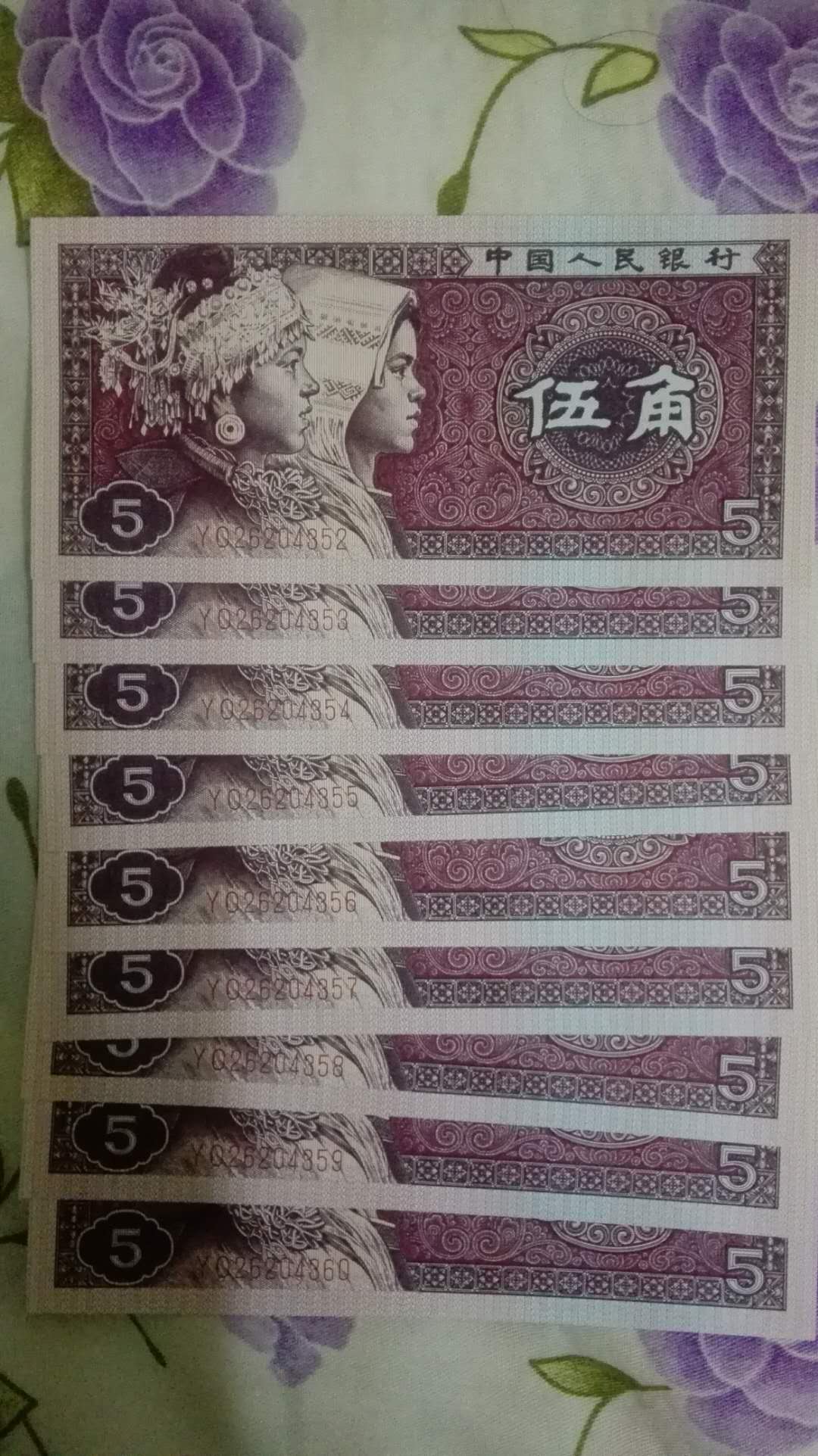 8005两冠中国红,强荧光,9