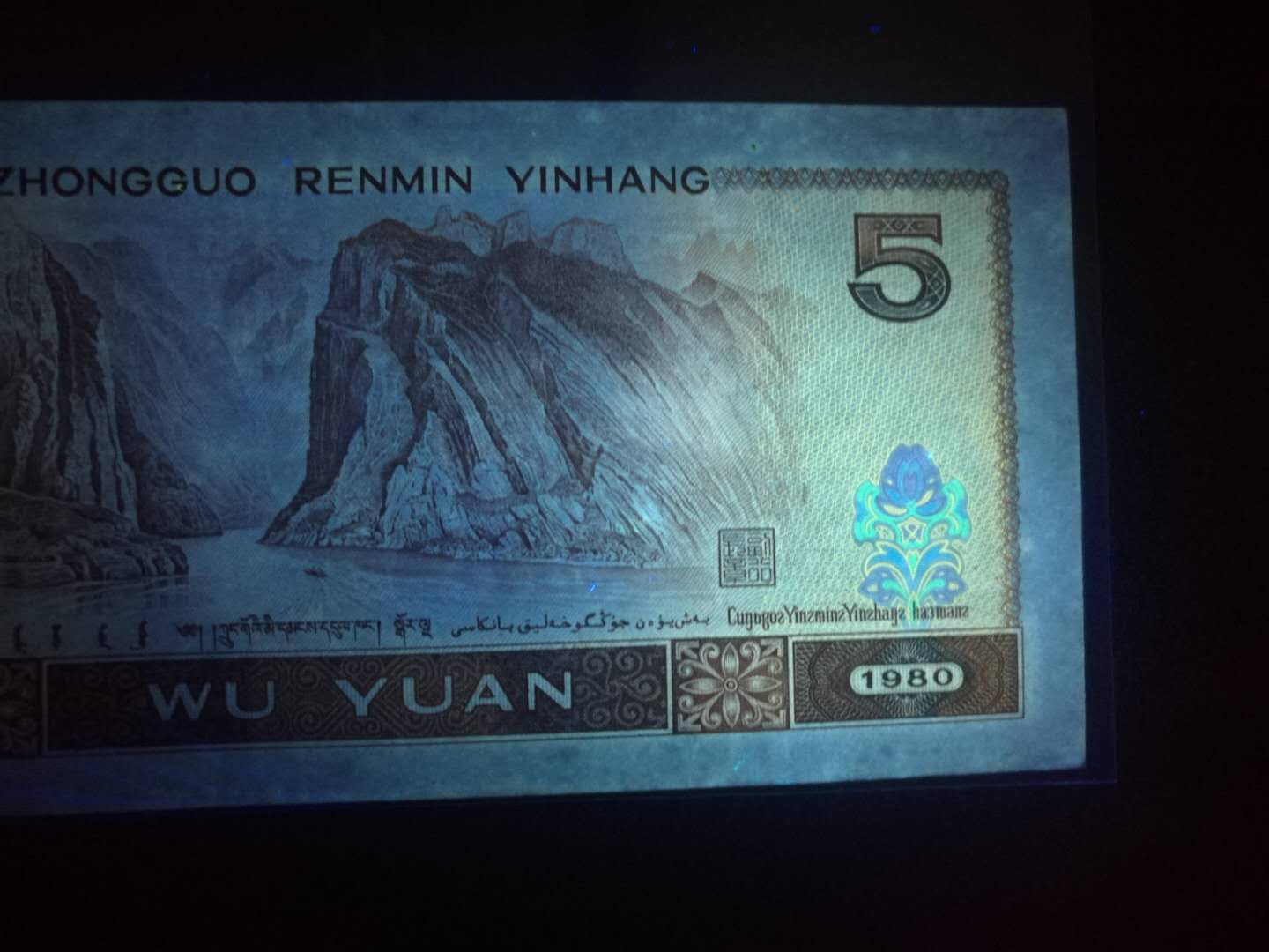 805最精典荧光币,大涨品种苍松翠鹤稀缺rd冠88