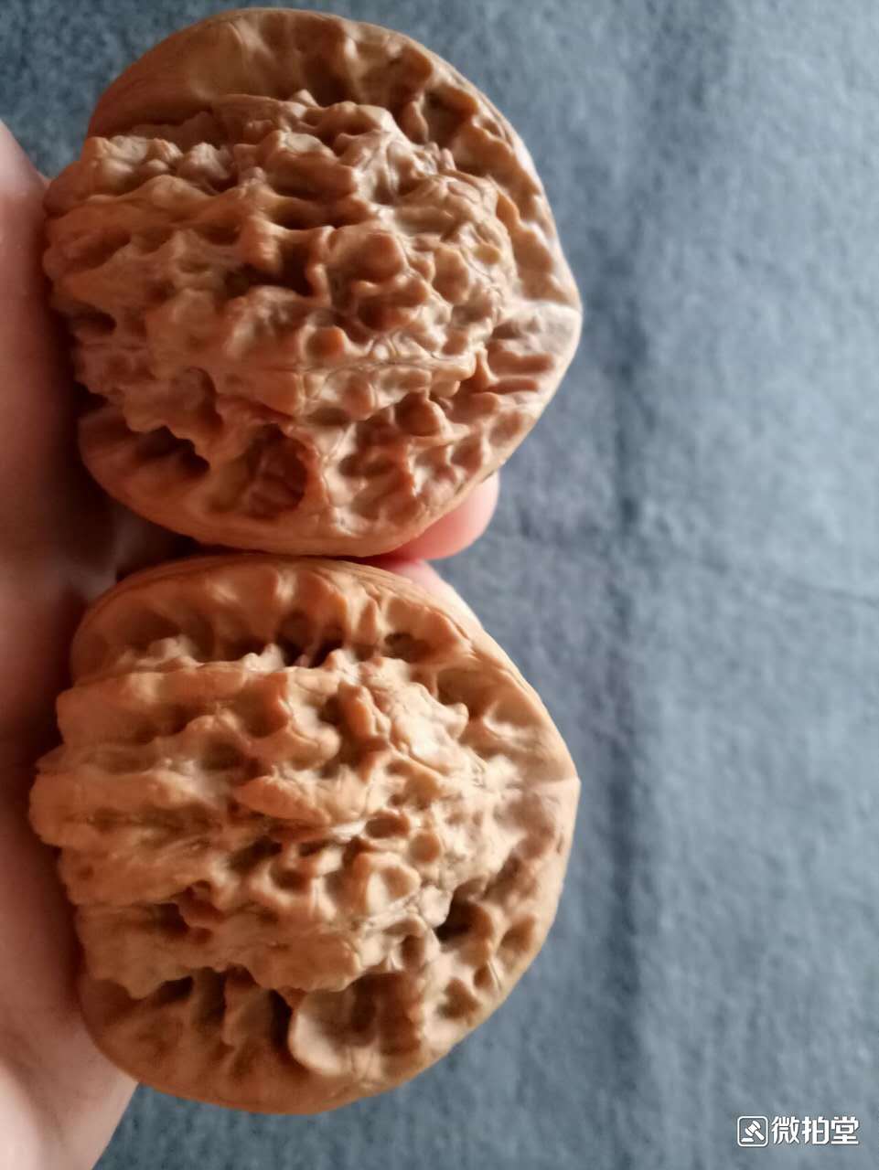 【麒麟纹大官帽】配对拉风堪称极品请大家看-爱藏网
