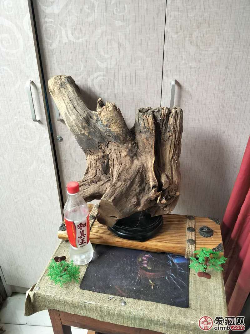 太行崖柏老料,适合雕刻开珠!重13斤!