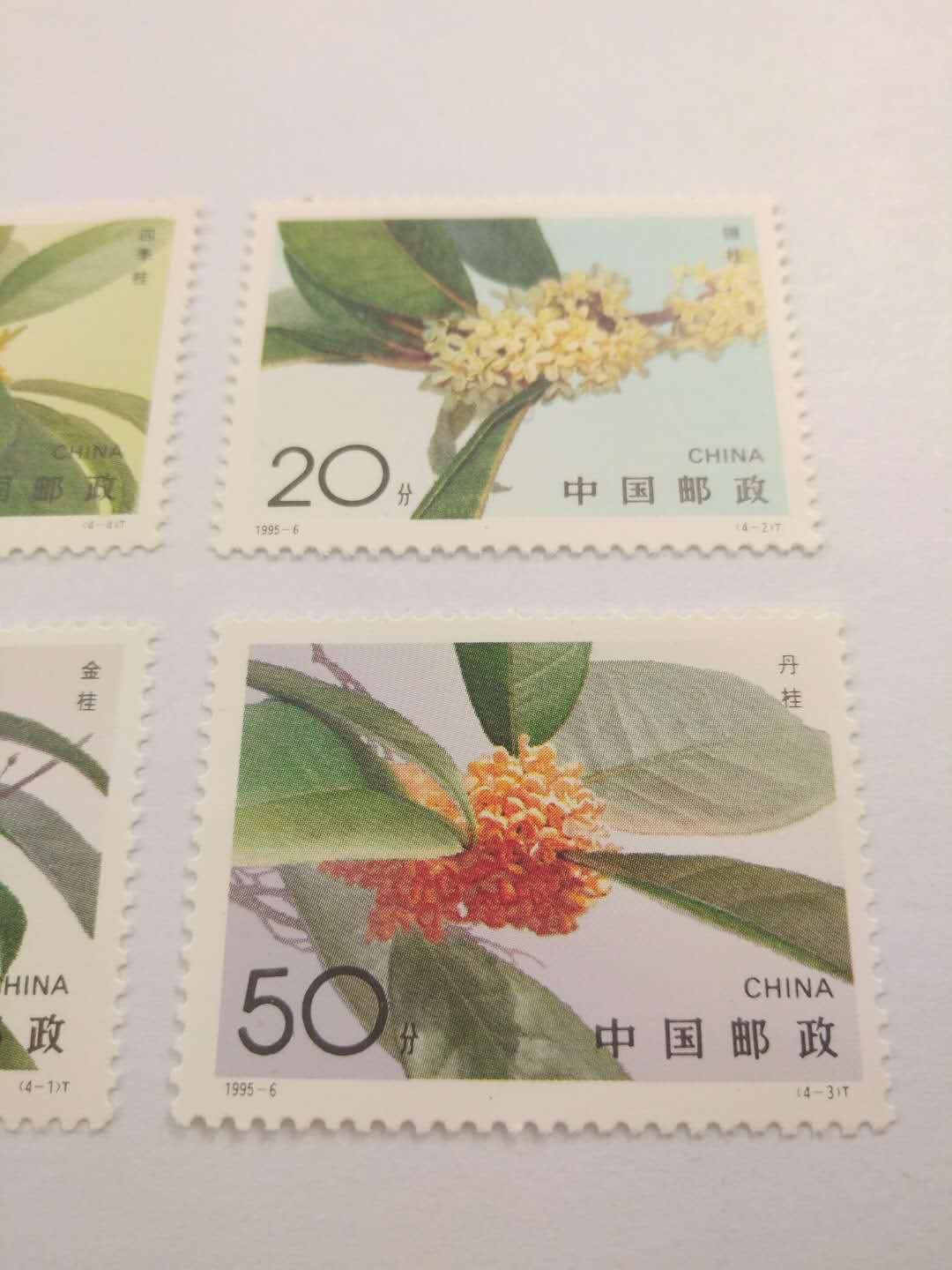 包邮邮票19956桂花一套共计4张全新保