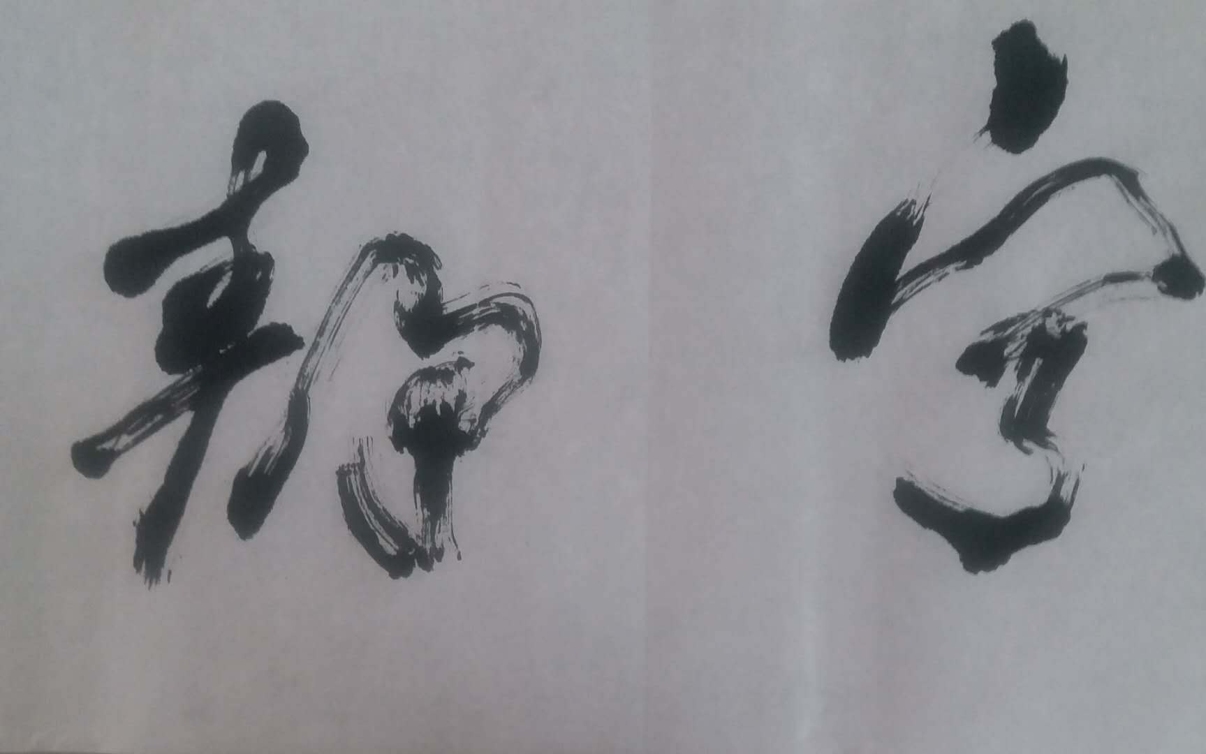 四尺对开草书宁静致远.