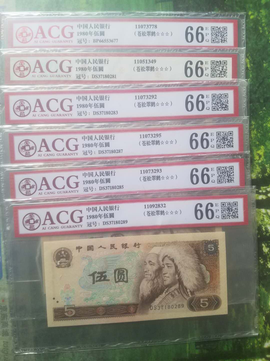 805苍松翠鹤是805里最少的