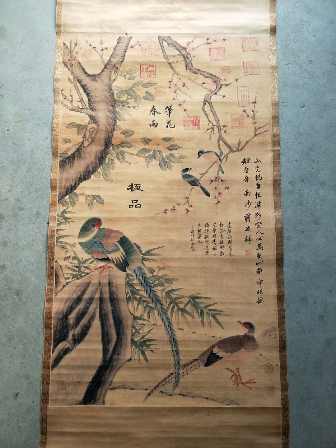 精品字画,蒋廷锡款作品花鸟图宣纸绢布真假_图片_价格_评级-书画篆刻