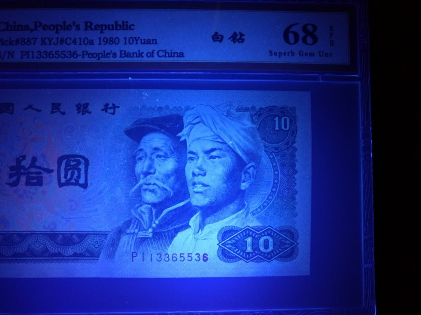 8010维一的中文标!五彩凤凰