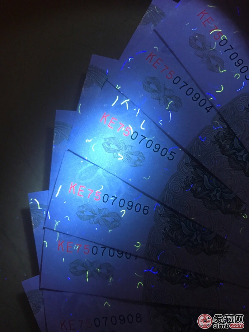 ke大叶兰(宝石红)强冠号荧光