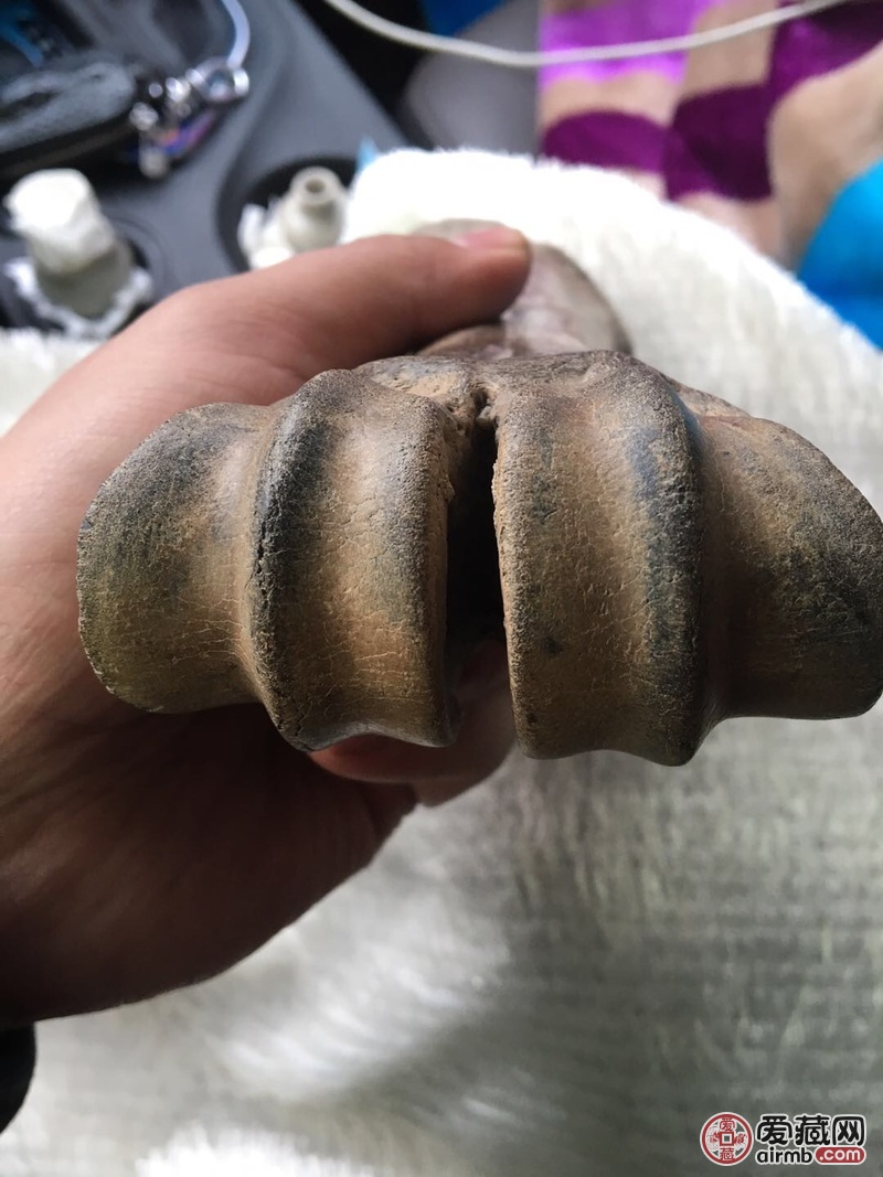 这块骨头是自己在若尔盖修公路炸山炸出来的,有人说是虎骨化石,想请