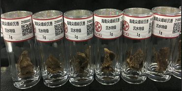 爱藏与沉香山战略合作，开启沉香评级的时代