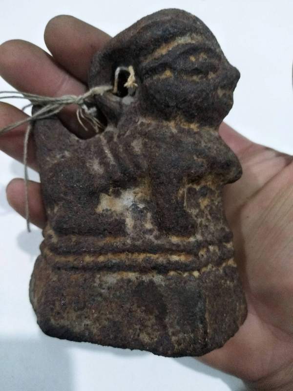 权老动物羊称沱一个挺沉的有二斤保真保老