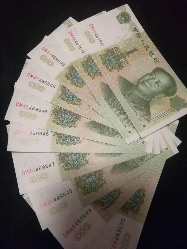 991高密丝大叶兰dm名冠大叶兰高密丝一张号码在