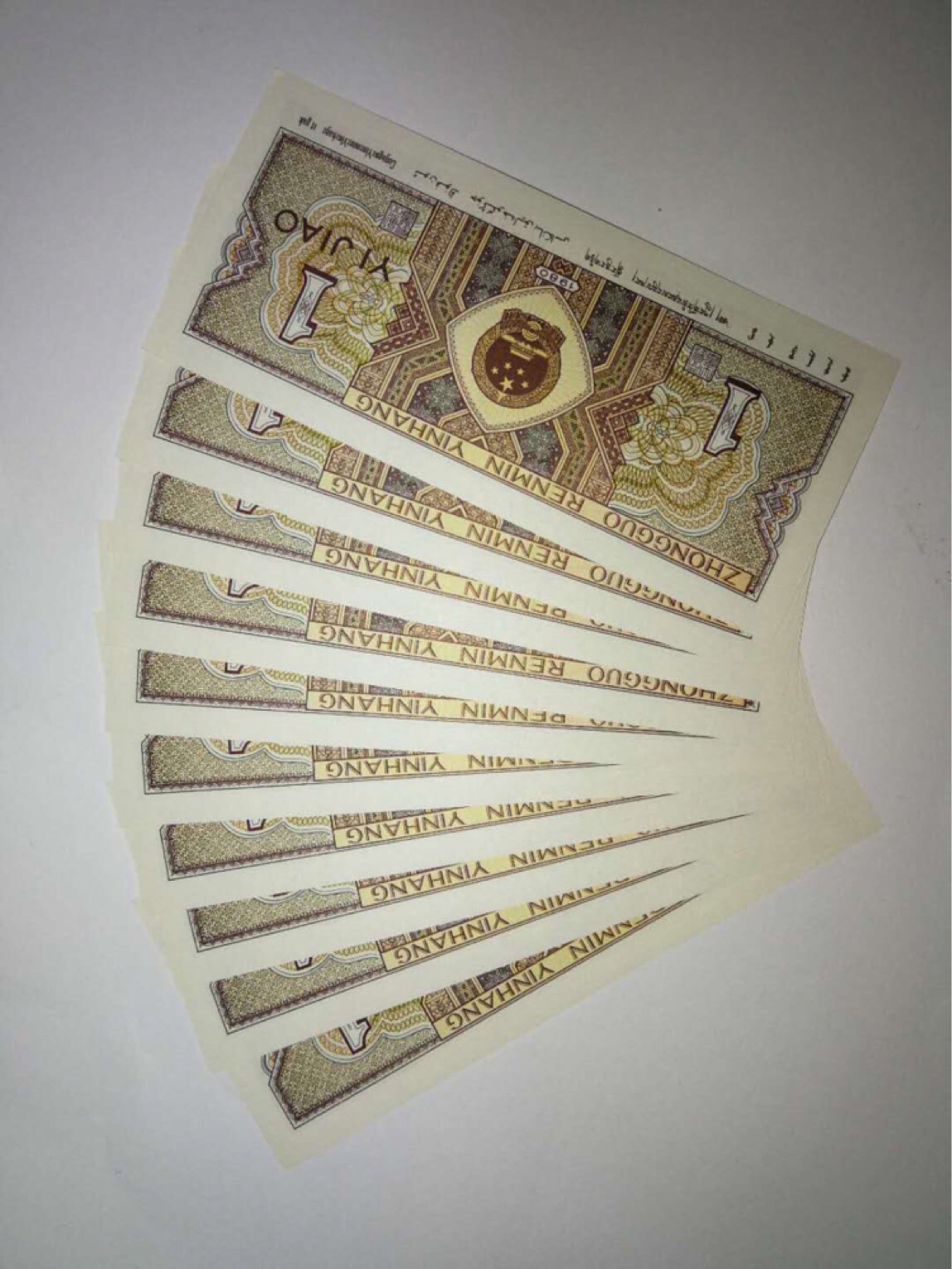 《8001背绿强荧光小金龙sm