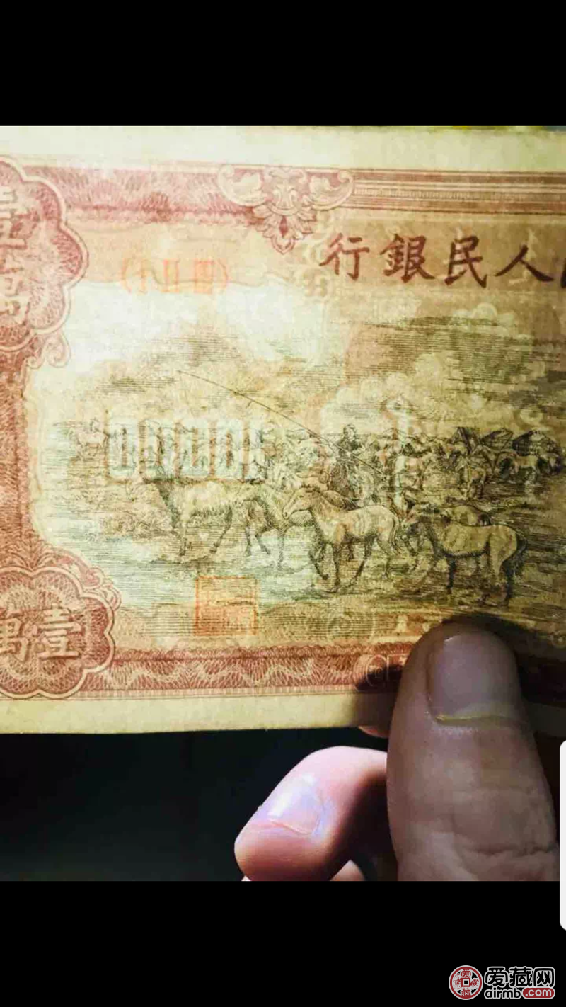 一万元牧马