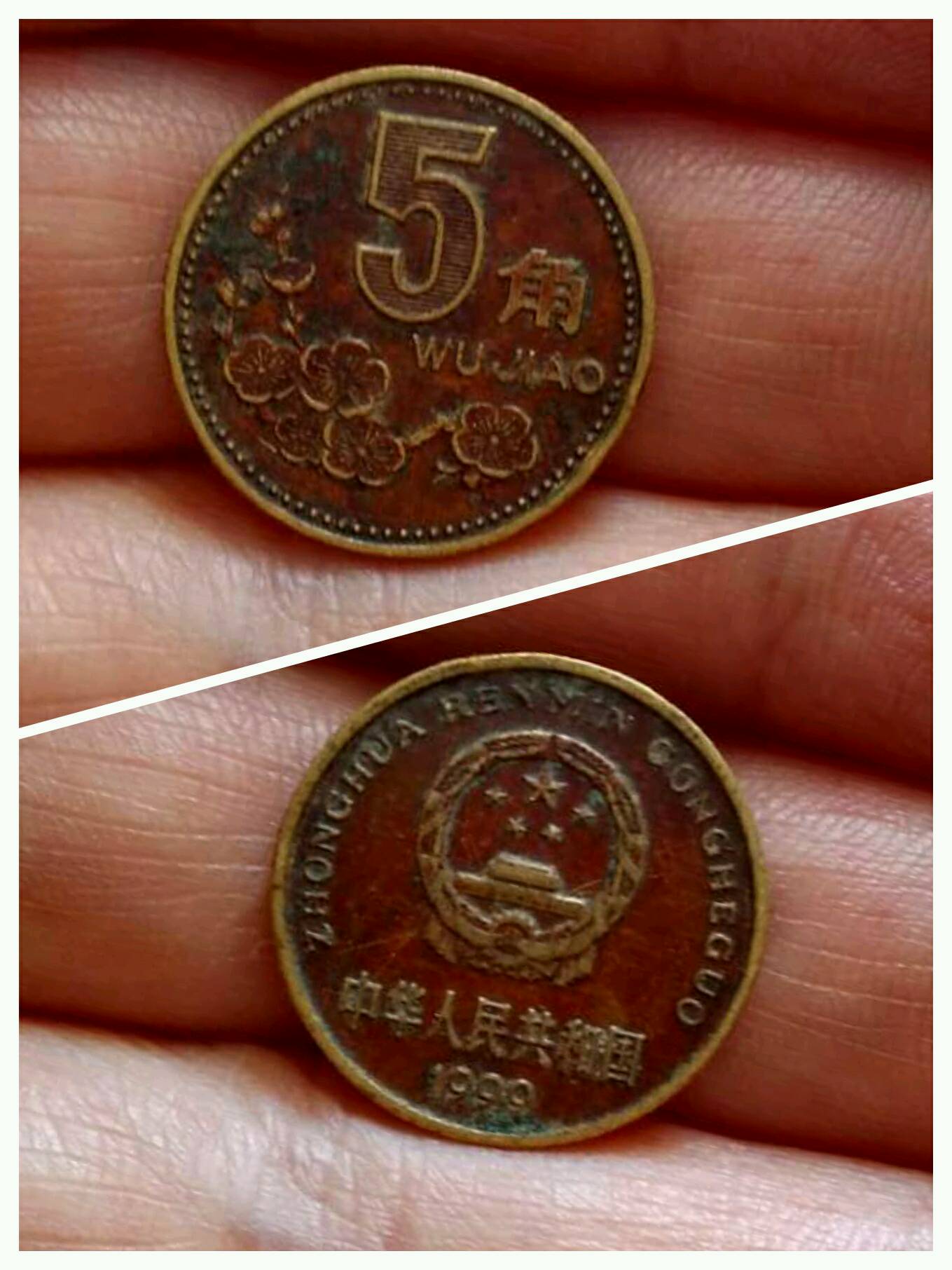 梅花99年红梅一枚,颜色靓丽