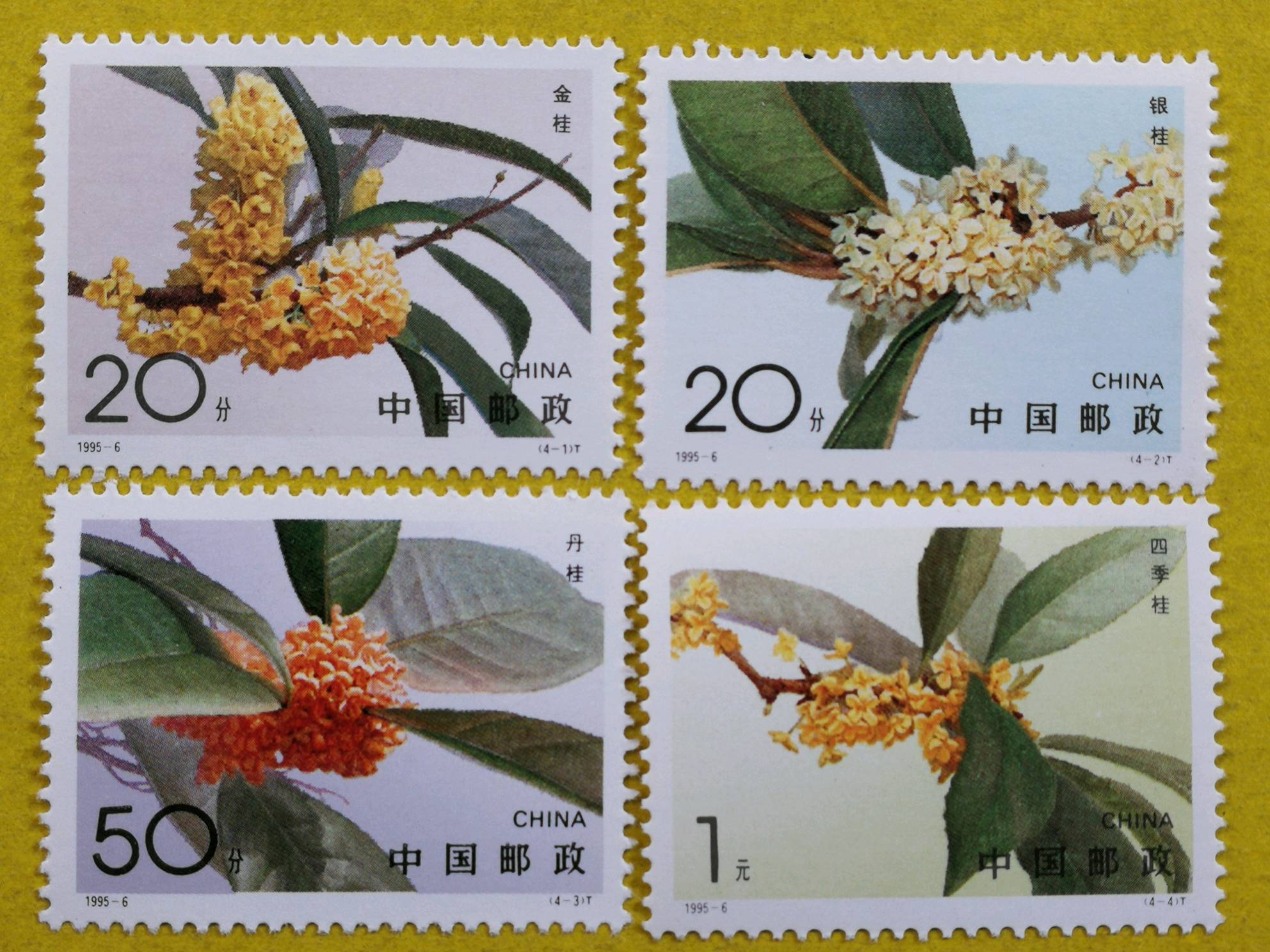 1995年桂花邮票 (花卉类邮