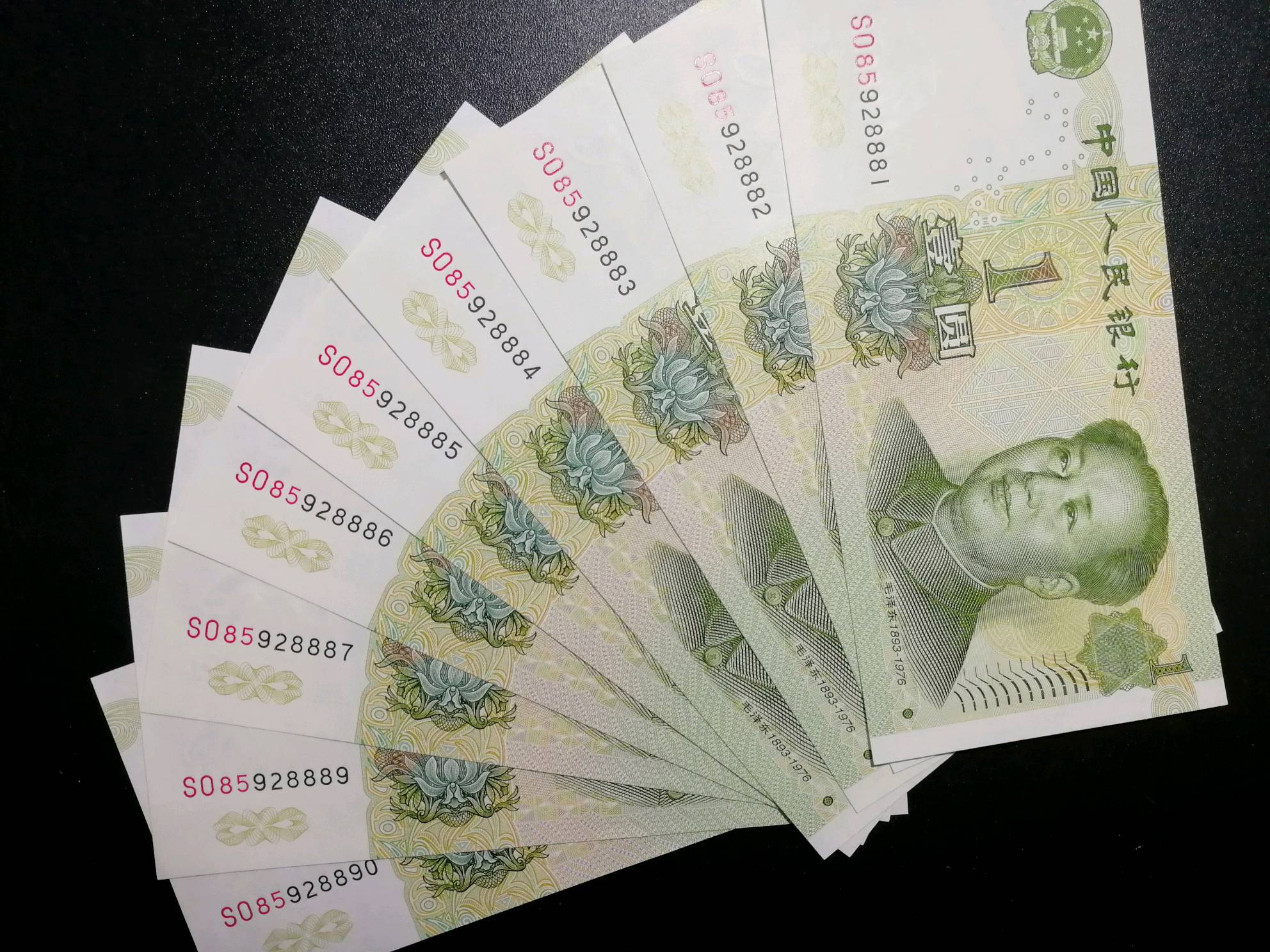 991大叶兰～首发冠标十少88