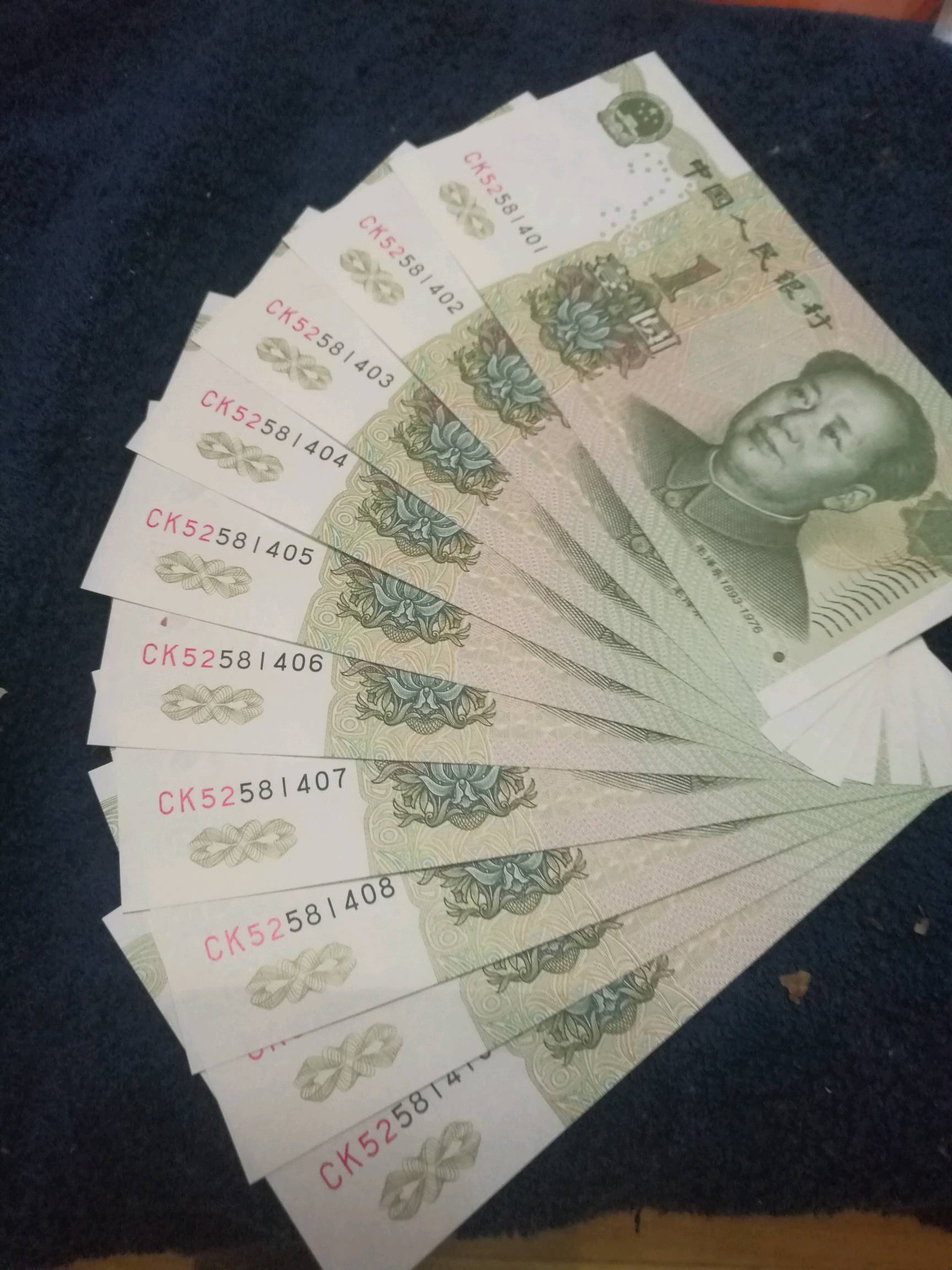 991大叶兰稀少ck标十1组.