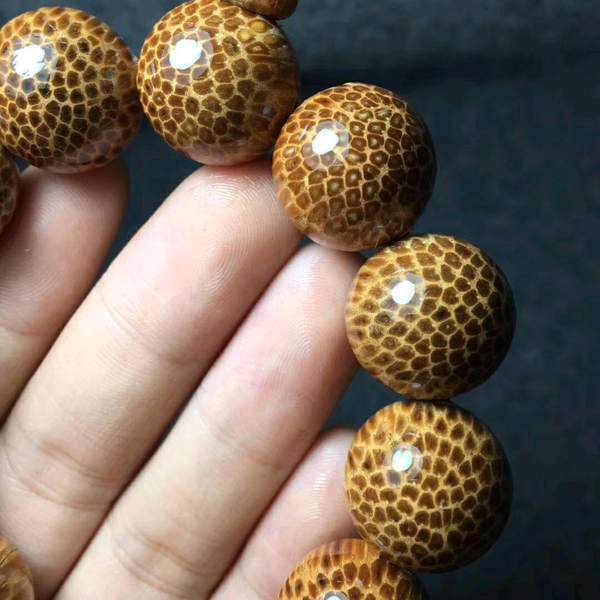 品名黄金皮蛇鳞木规格2062g材质