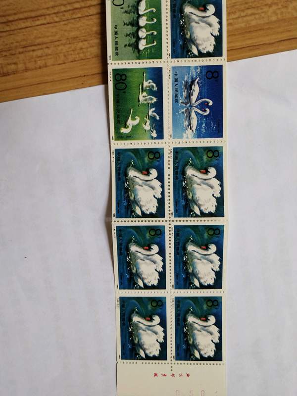 1983年10天鹅小本票带厂铭个真假_图片_价格_评级-邮票-爱藏网