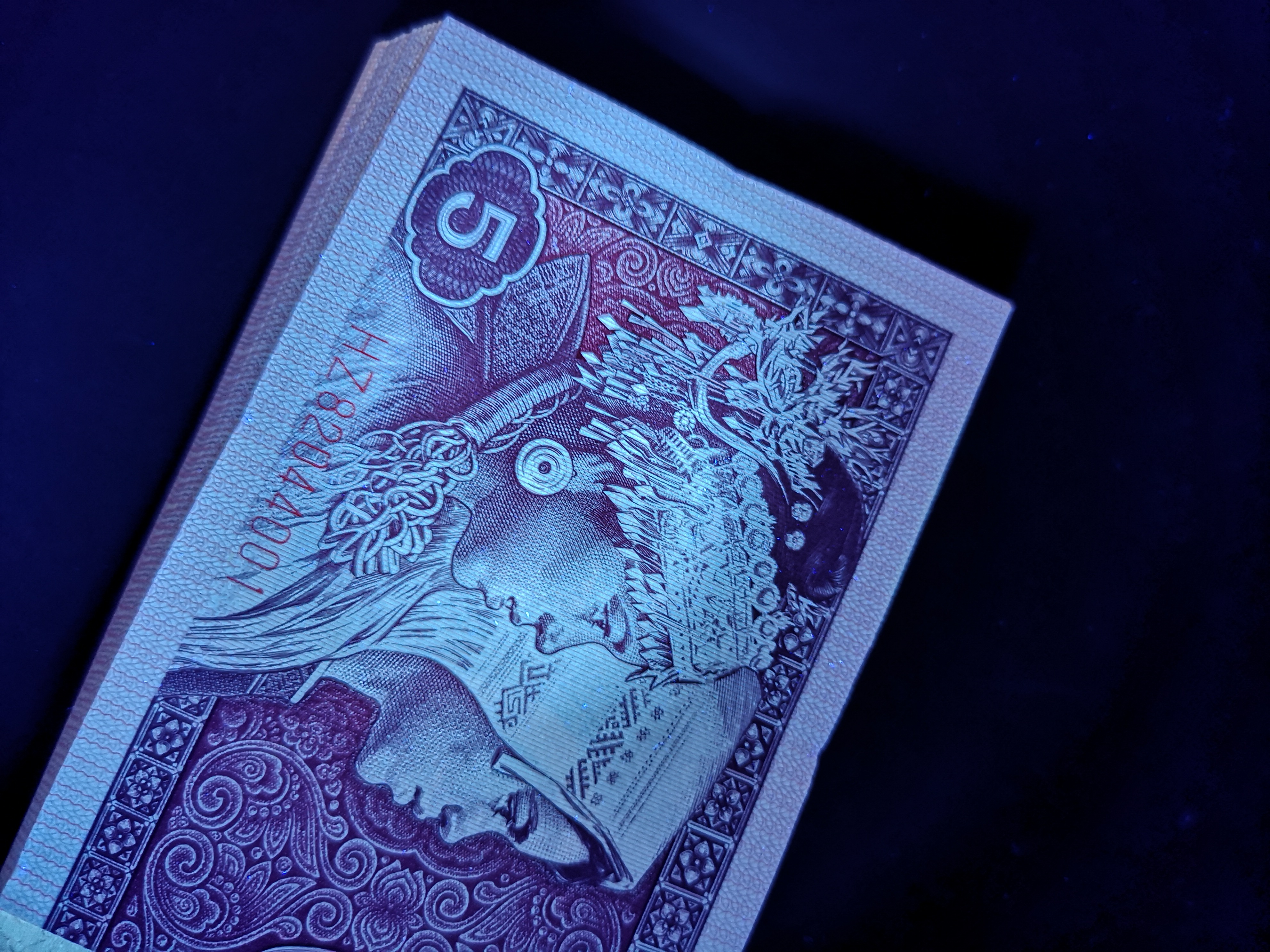 8005第一大组早期冠hz82