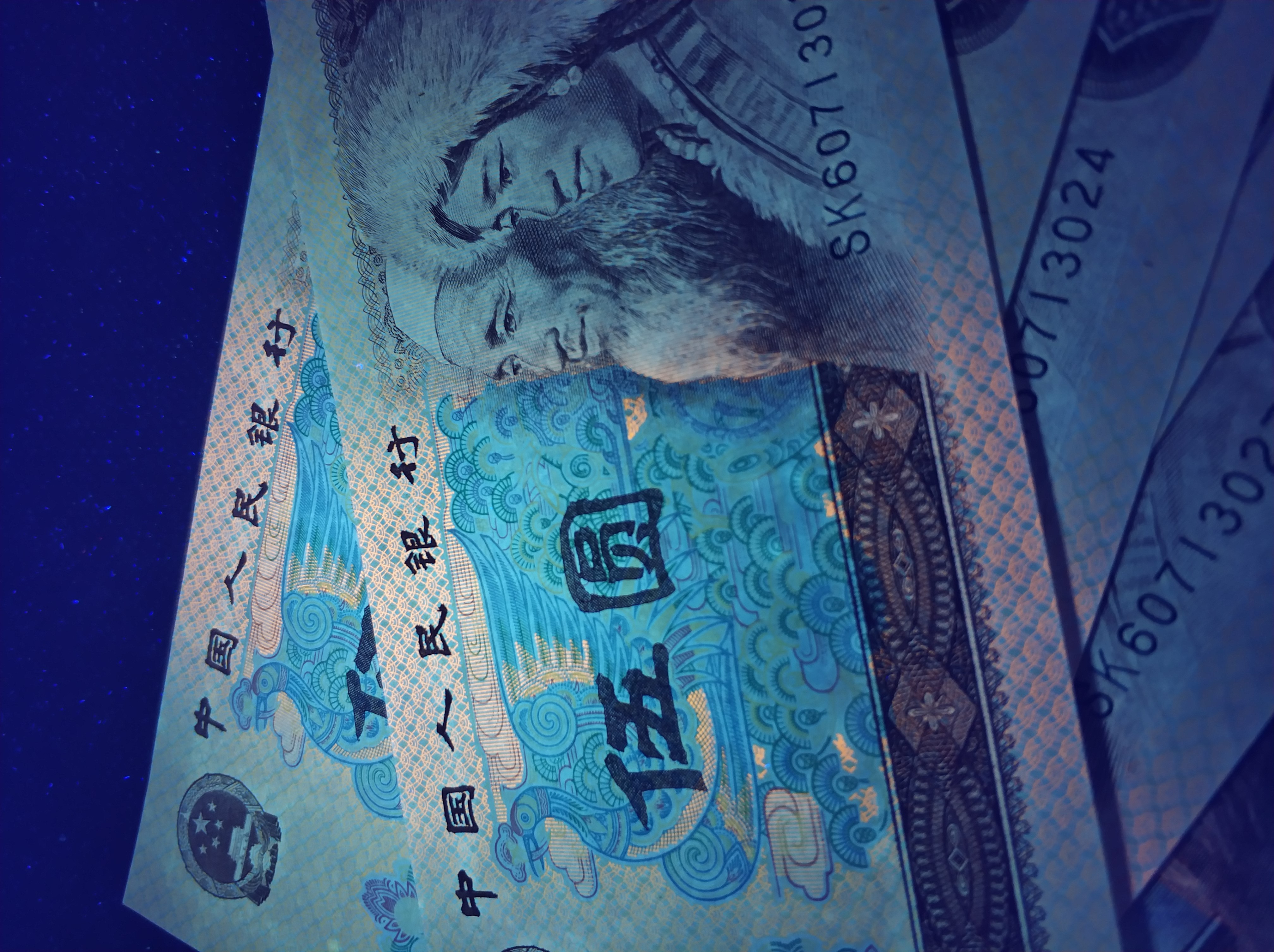 红光蓝鹤标十少一张尾26.九张